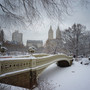 Nyc-winter