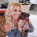 Britney Spears, Dog Hannah