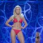 Allyn-rose-bikini-photo