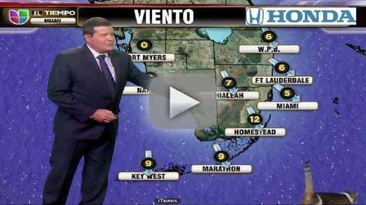 Univision Weather Cat
